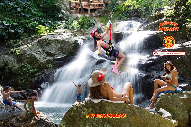 Sleeping Giant Zipline, Orchid Falls & Jungle Safari in Nadi