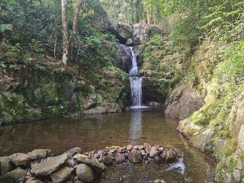 Photo 3 at Sleeping Giant Zipline, Orchid Falls & Jungle Safari in Nadi