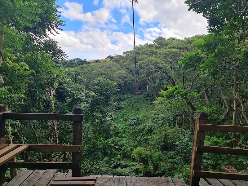 Photo 1 at Sleeping Giant Zipline, Orchid Falls & Jungle Safari in Nadi