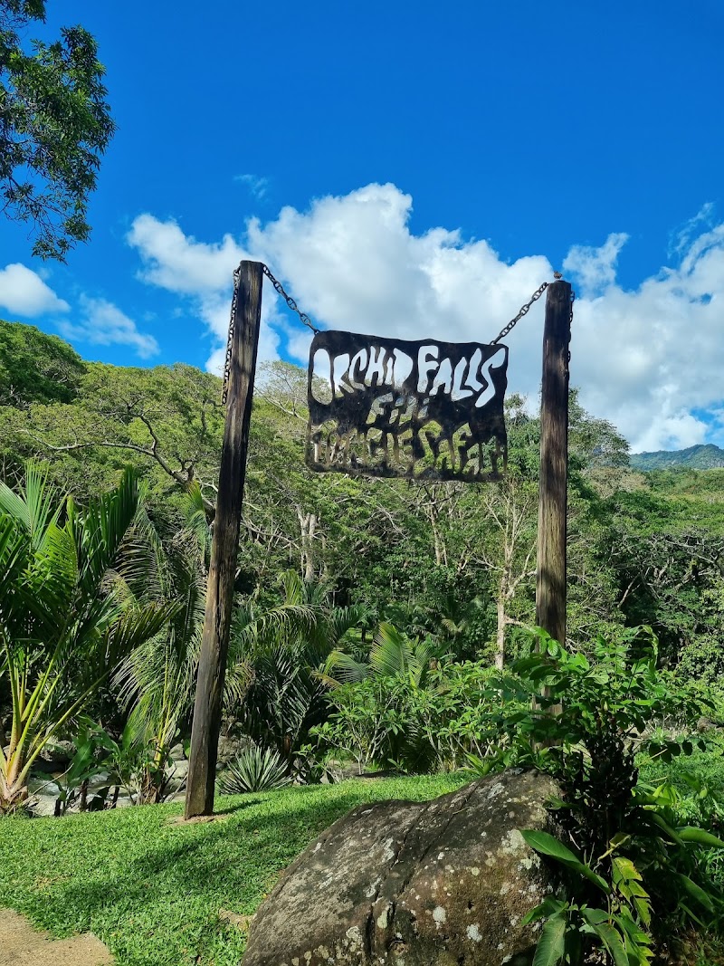 Photo 4 at Sleeping Giant Zipline, Orchid Falls & Jungle Safari in Nadi