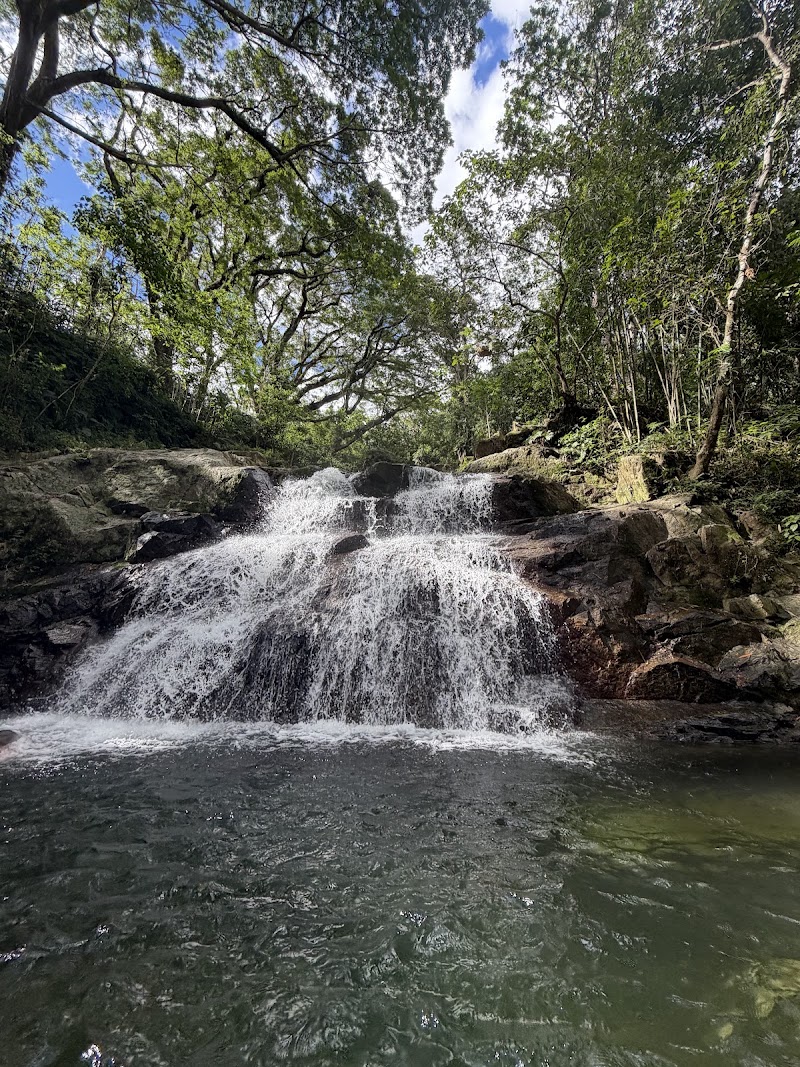 Photo 2 at Sleeping Giant Zipline, Orchid Falls & Jungle Safari in Nadi