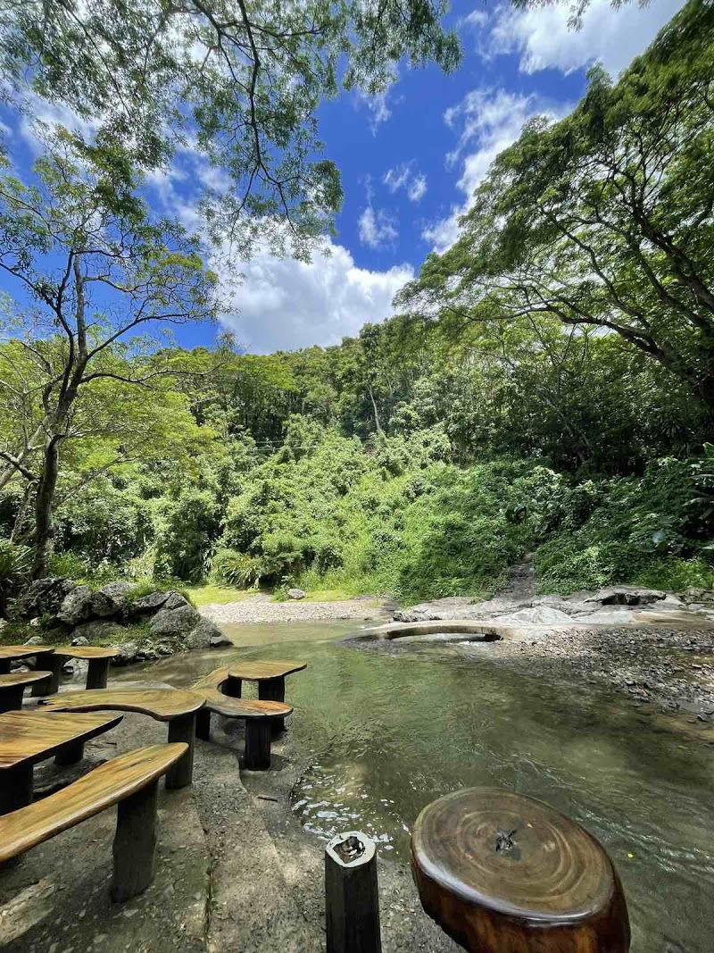 Photo 5 at Sleeping Giant Zipline, Orchid Falls & Jungle Safari in Nadi
