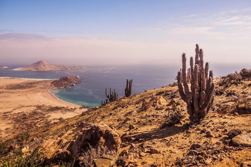 Parque Nacional Pan de Azúcar in 