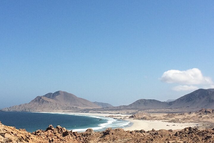 Photo 1 at Parque Nacional Pan de Azúcar in 