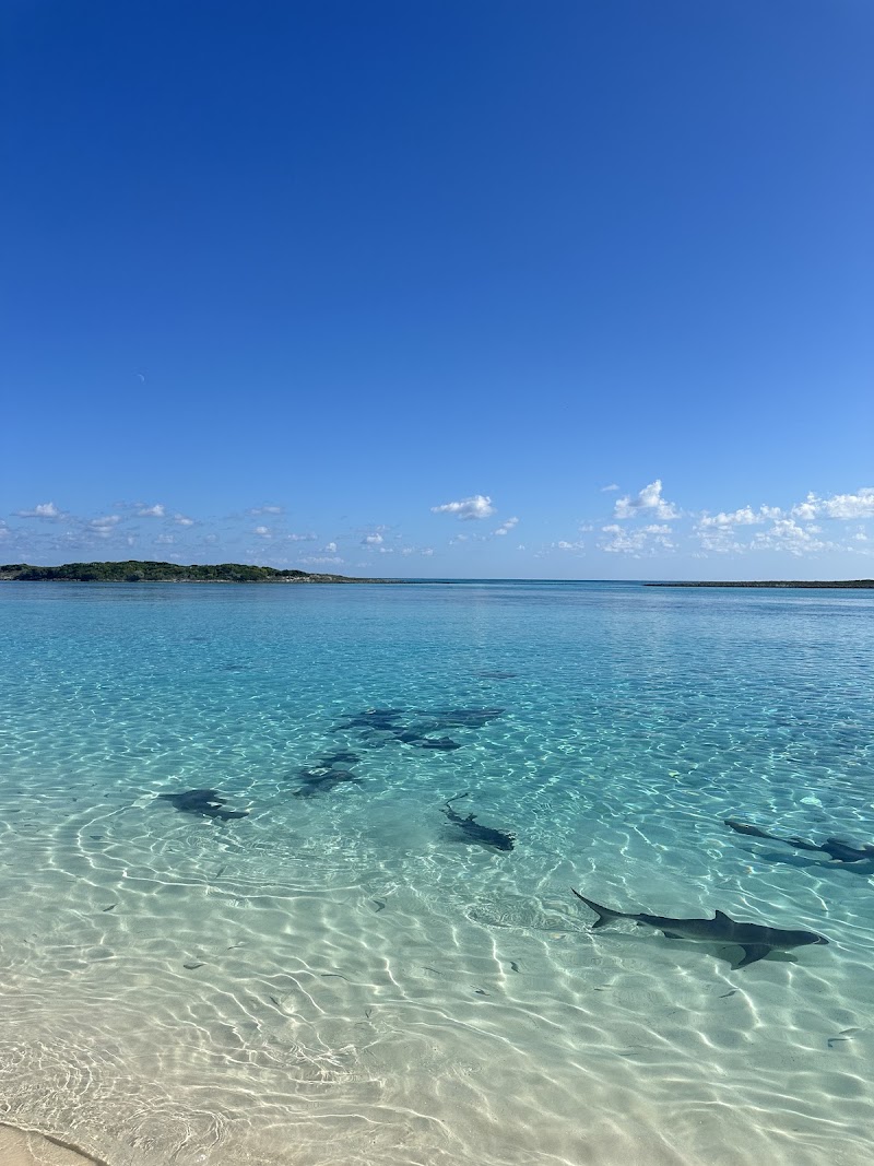 Photo 2 at Powerboat Adventures - Exuma in Nassau