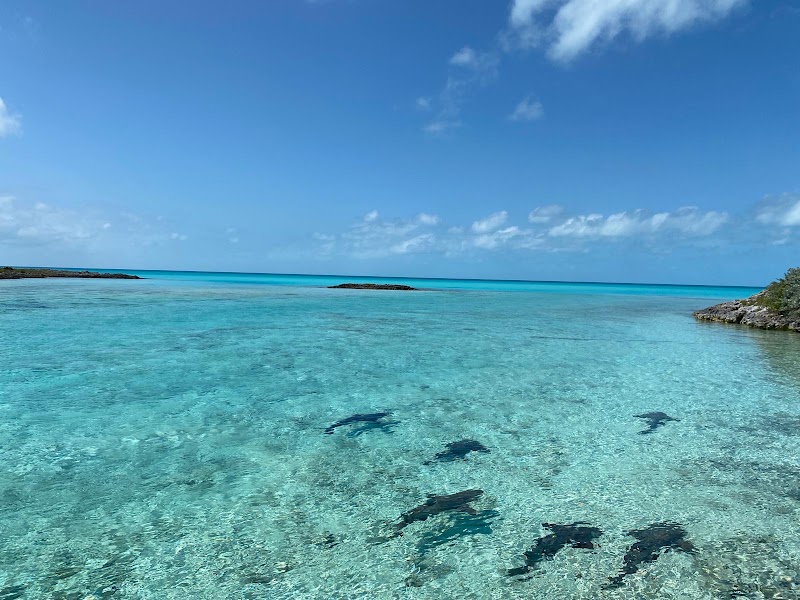 Photo 6 at Powerboat Adventures - Exuma in Nassau