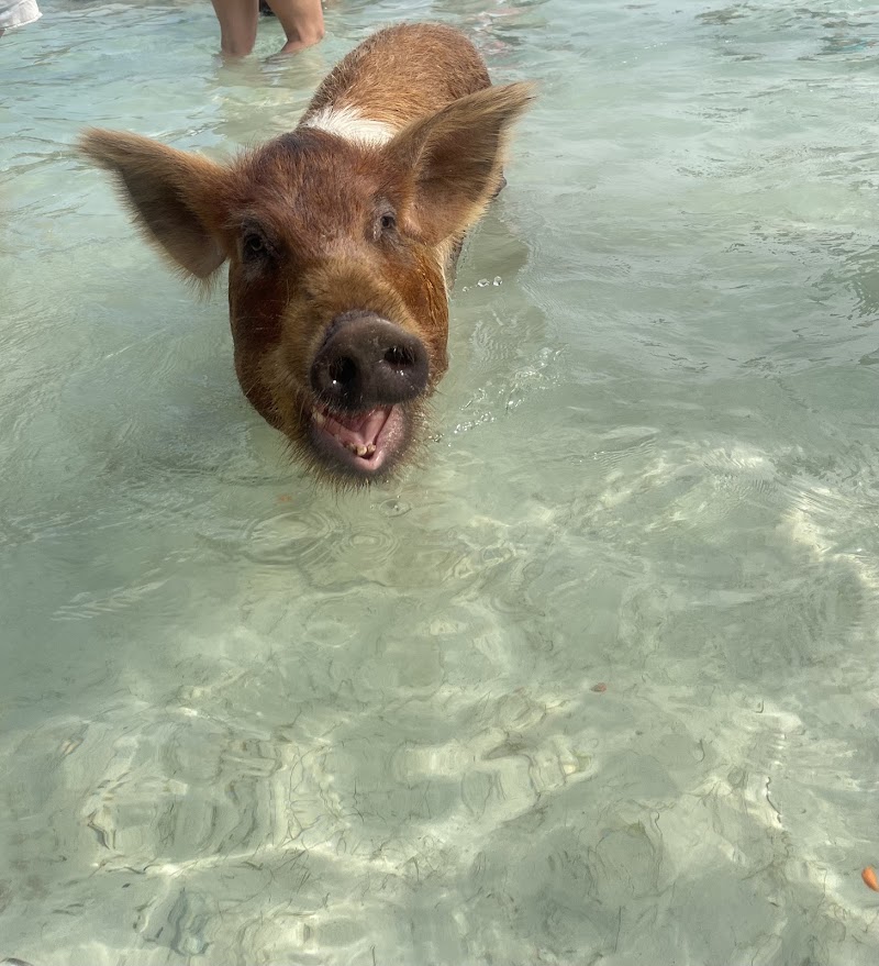 Photo 3 at Powerboat Adventures - Exuma in Nassau