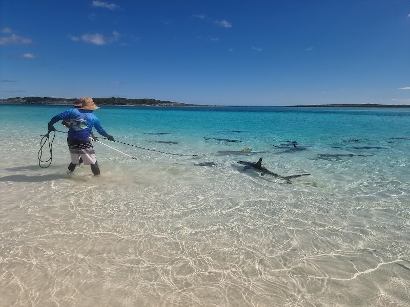Photo 4 at Powerboat Adventures - Exuma in Nassau