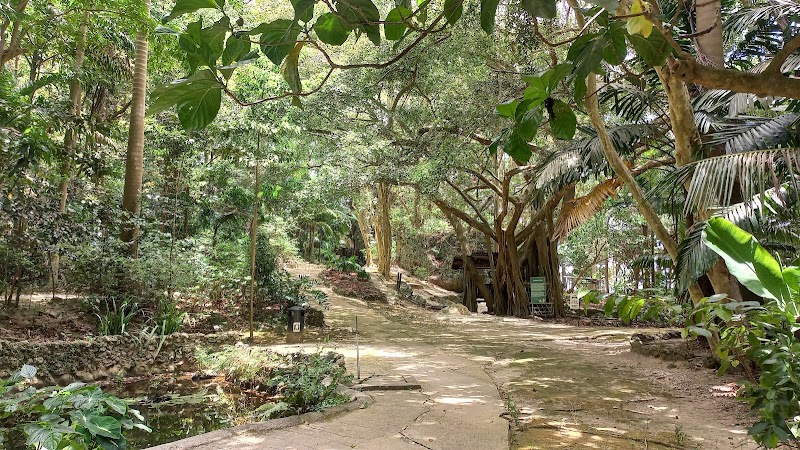 Welchman Hall Gully in Welchman Hall