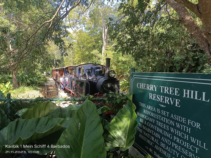 Photo 4 at Cherry Tree Hill Reserve in Mount Stepney