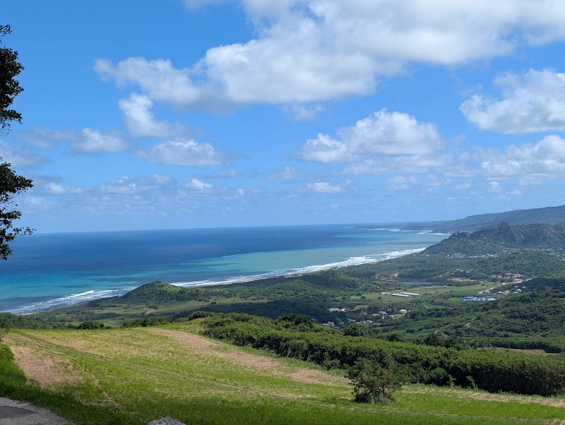 Cherry Tree Hill Reserve in Mount Stepney