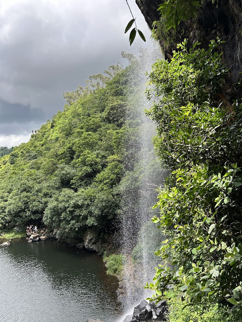 Photo 6 at Tamarin Falls in 