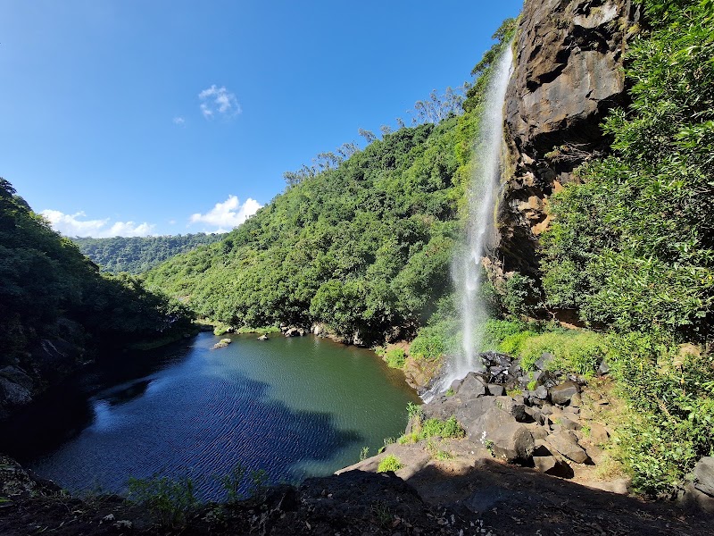Photo 5 at Tamarin Falls in 
