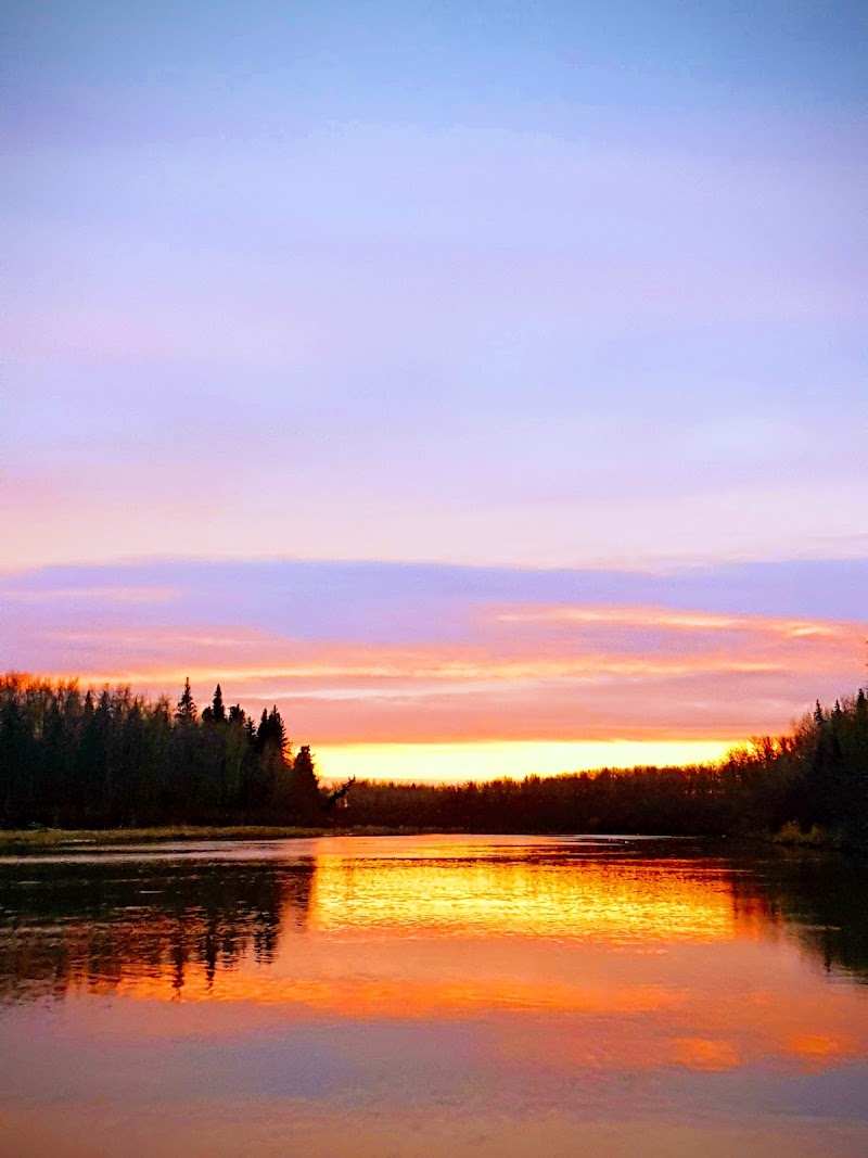 Photo 4 at Wood Buffalo National Park of Canada in 
