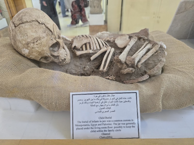 Photo 6 at Jordan Archaeological Museum in Amman