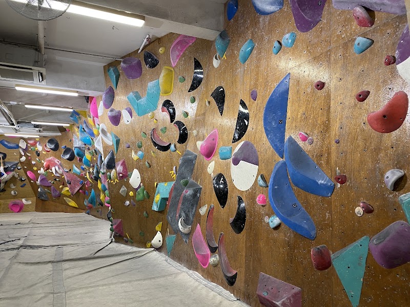 Campus Climbing in 