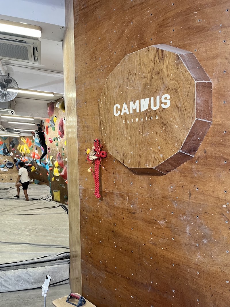 Photo 3 at Campus Climbing in 