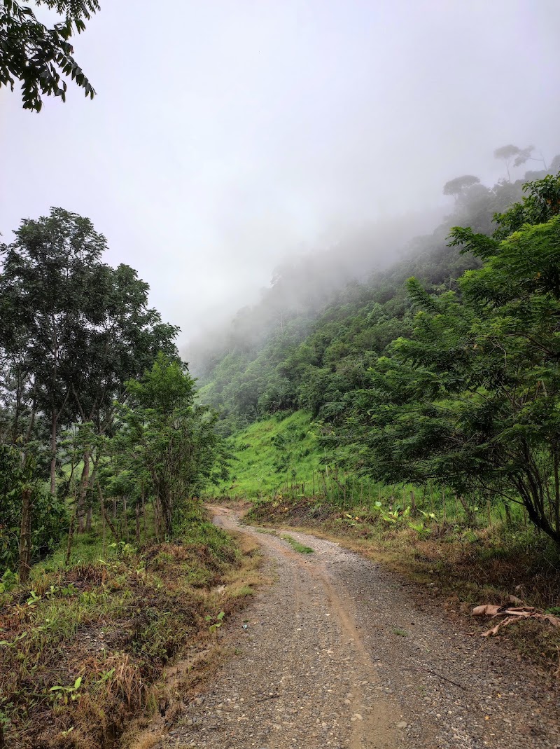 Photo 3 at Paramillo National Park in Montería