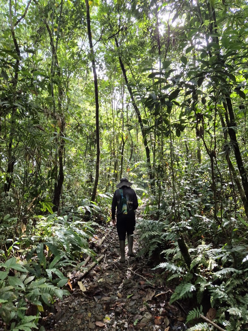 Photo 5 at Paramillo National Park in Montería