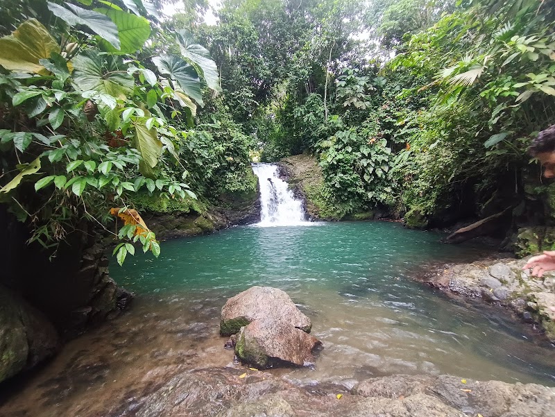 Photo 4 at Paramillo National Park in Montería