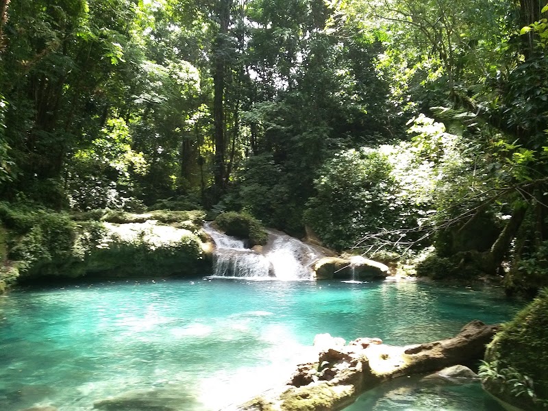 Photo 1 at Reach Falls in Manchioneal
