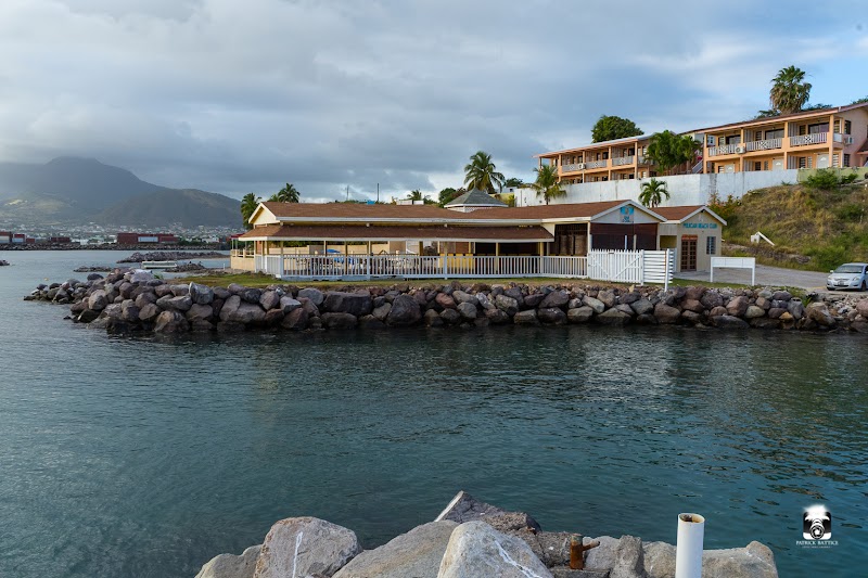 Photo 6 at Dolphin Explorer St Kitts in Basseterre