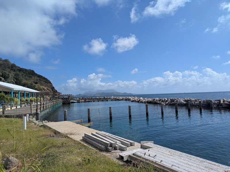 Photo 1 at Dolphin Explorer St Kitts in Basseterre