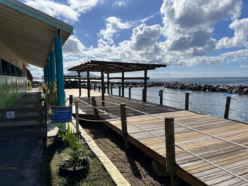 Photo 2 at Dolphin Explorer St Kitts in Basseterre