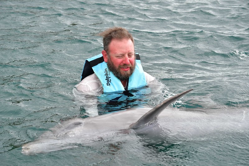 Photo 4 at Dolphin Explorer St Kitts in Basseterre