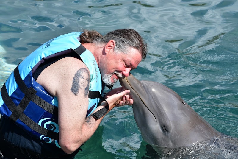 Photo 3 at Dolphin Explorer St Kitts in Basseterre