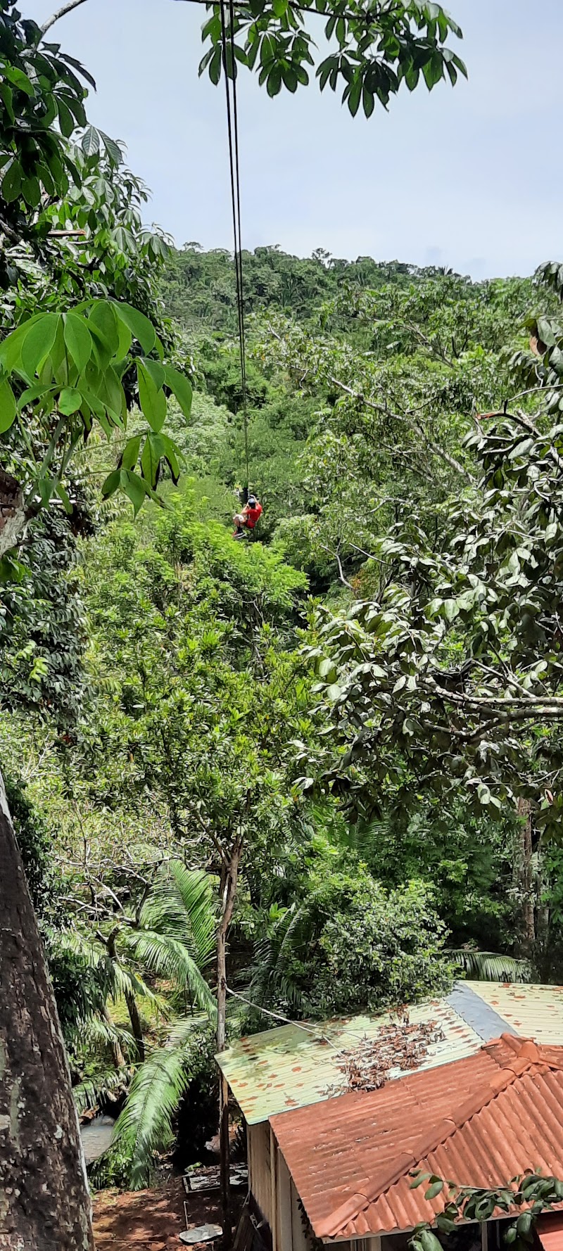 Photo 2 at Kontraste Adventure in Río Congo