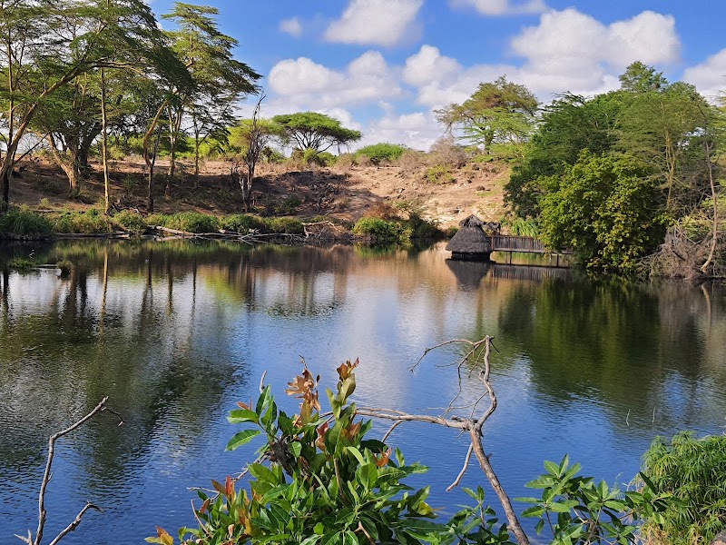 Photo 4 at Tsavo West National Park in 