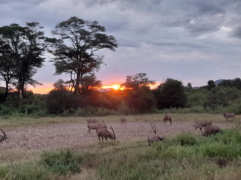 Photo 5 at Tsavo West National Park in 