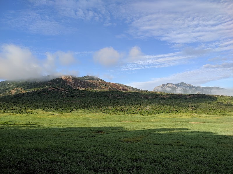 Photo 3 at Tsavo West National Park in 