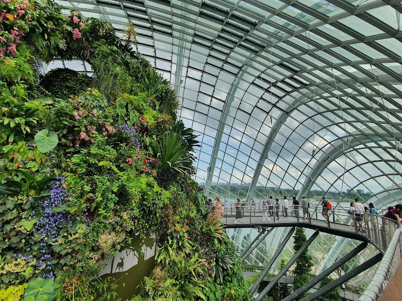 Photo 2 at Gardens by the Bay in Singapore