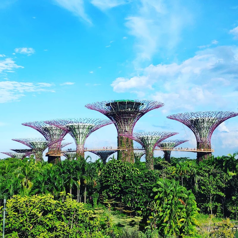 Gardens by the Bay in Singapore