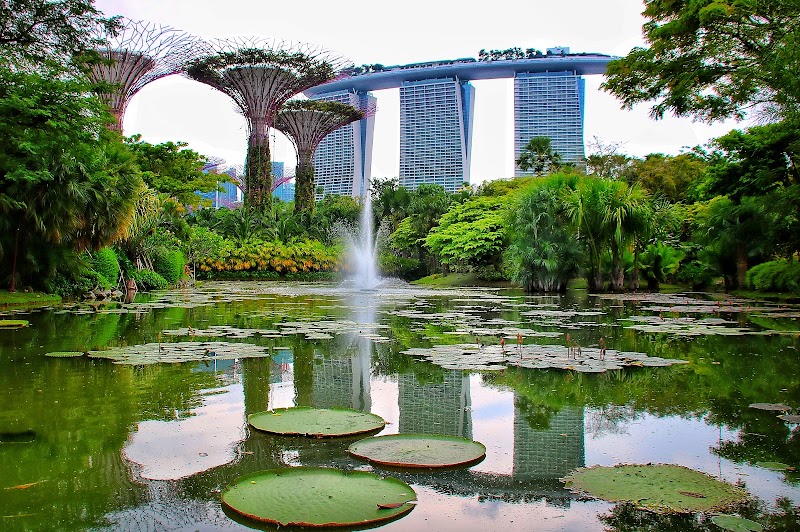 Photo 3 at Gardens by the Bay in Singapore