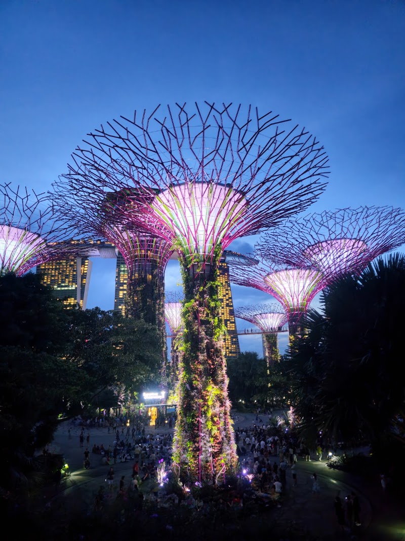 Photo 6 at Gardens by the Bay in Singapore
