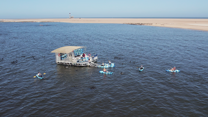 Photo 6 at Amazing 5 Tours Namibia in Swakopmund