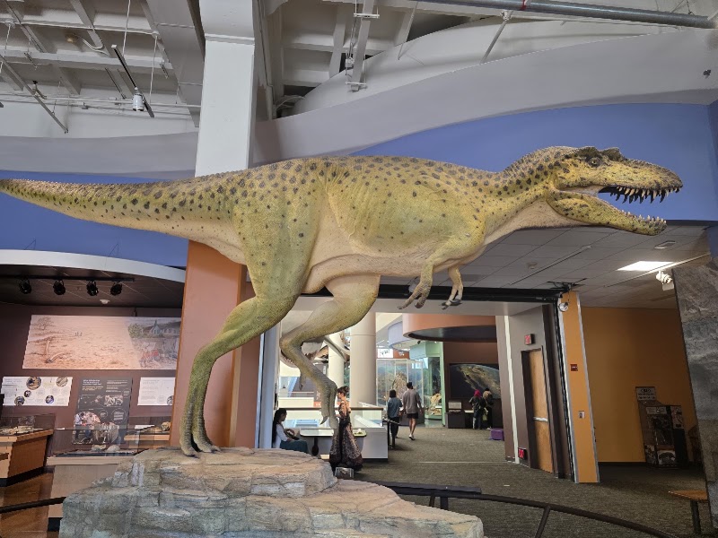 Photo 6 at San Diego Natural History Museum in San Diego