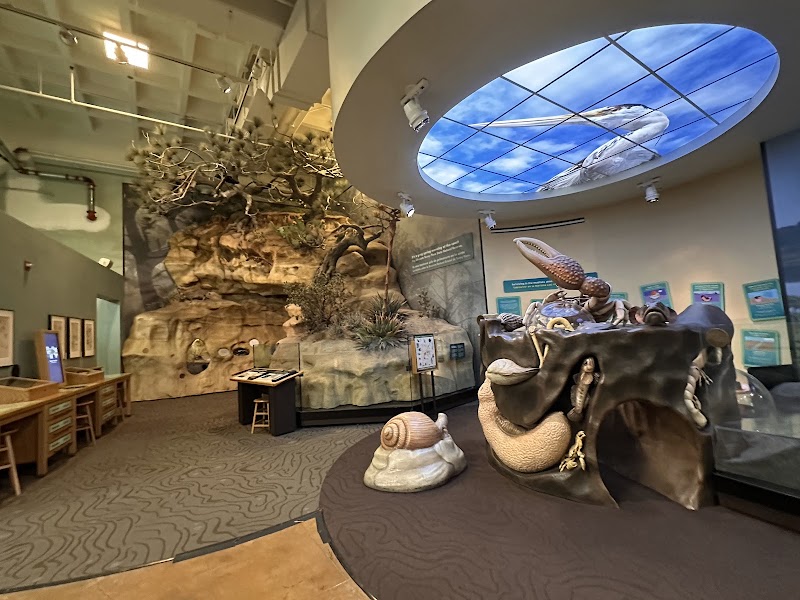 Photo 5 at San Diego Natural History Museum in San Diego
