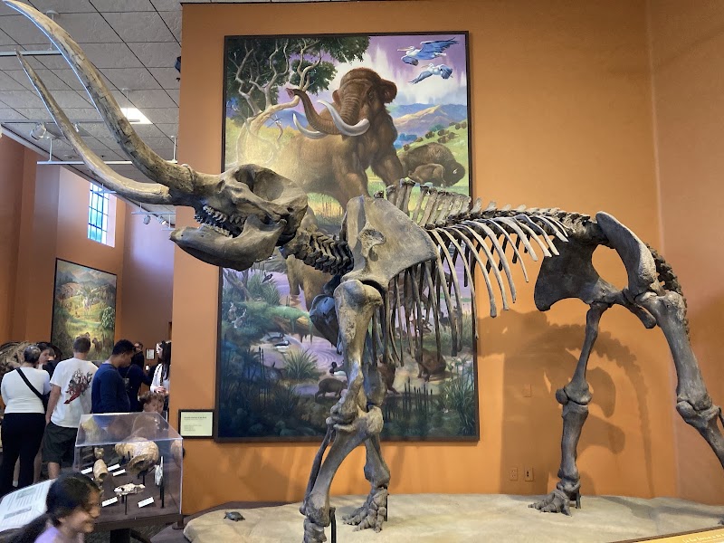 Photo 4 at San Diego Natural History Museum in San Diego