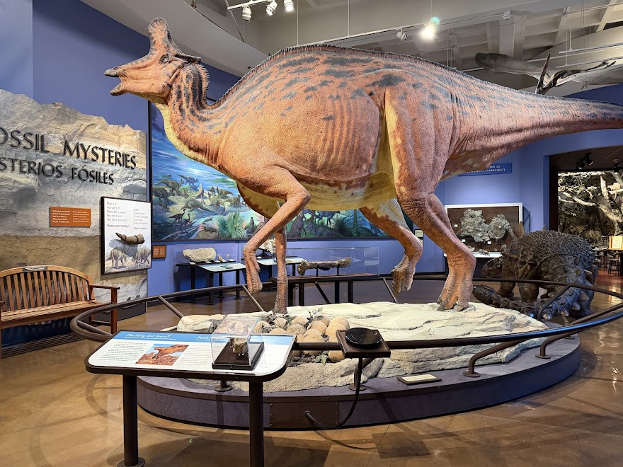 San Diego Natural History Museum in San Diego