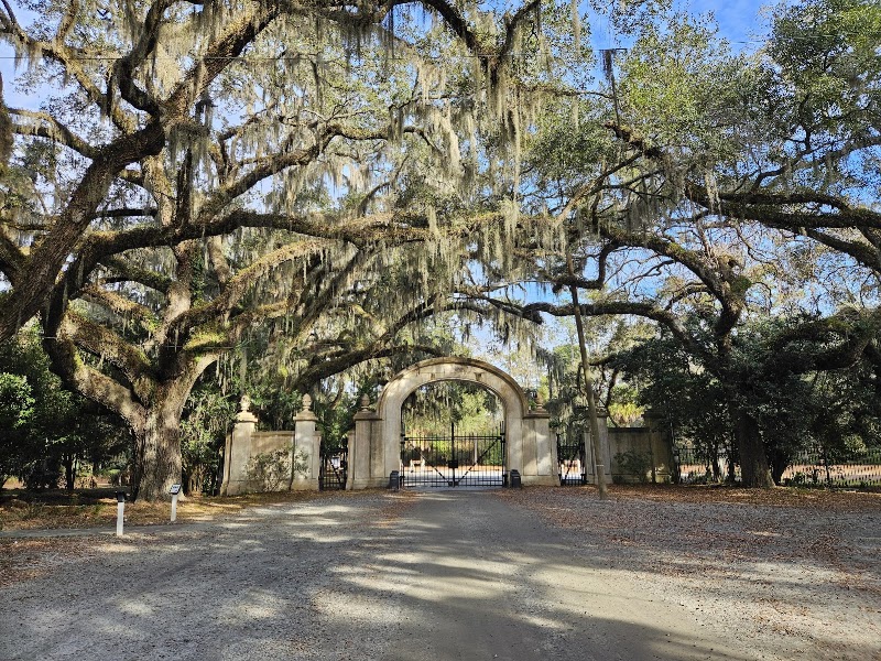 Wormsloe in Savannah