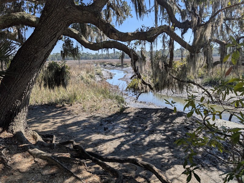 Photo 6 at Wormsloe in Savannah