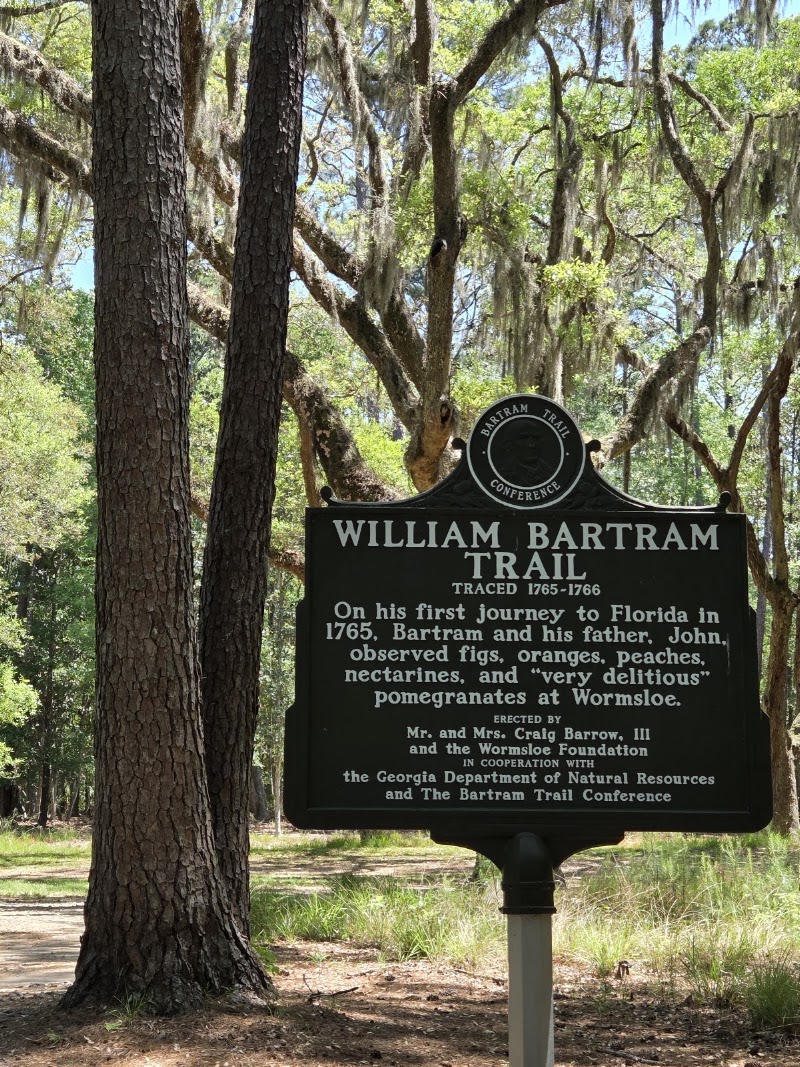 Photo 4 at Wormsloe in Savannah