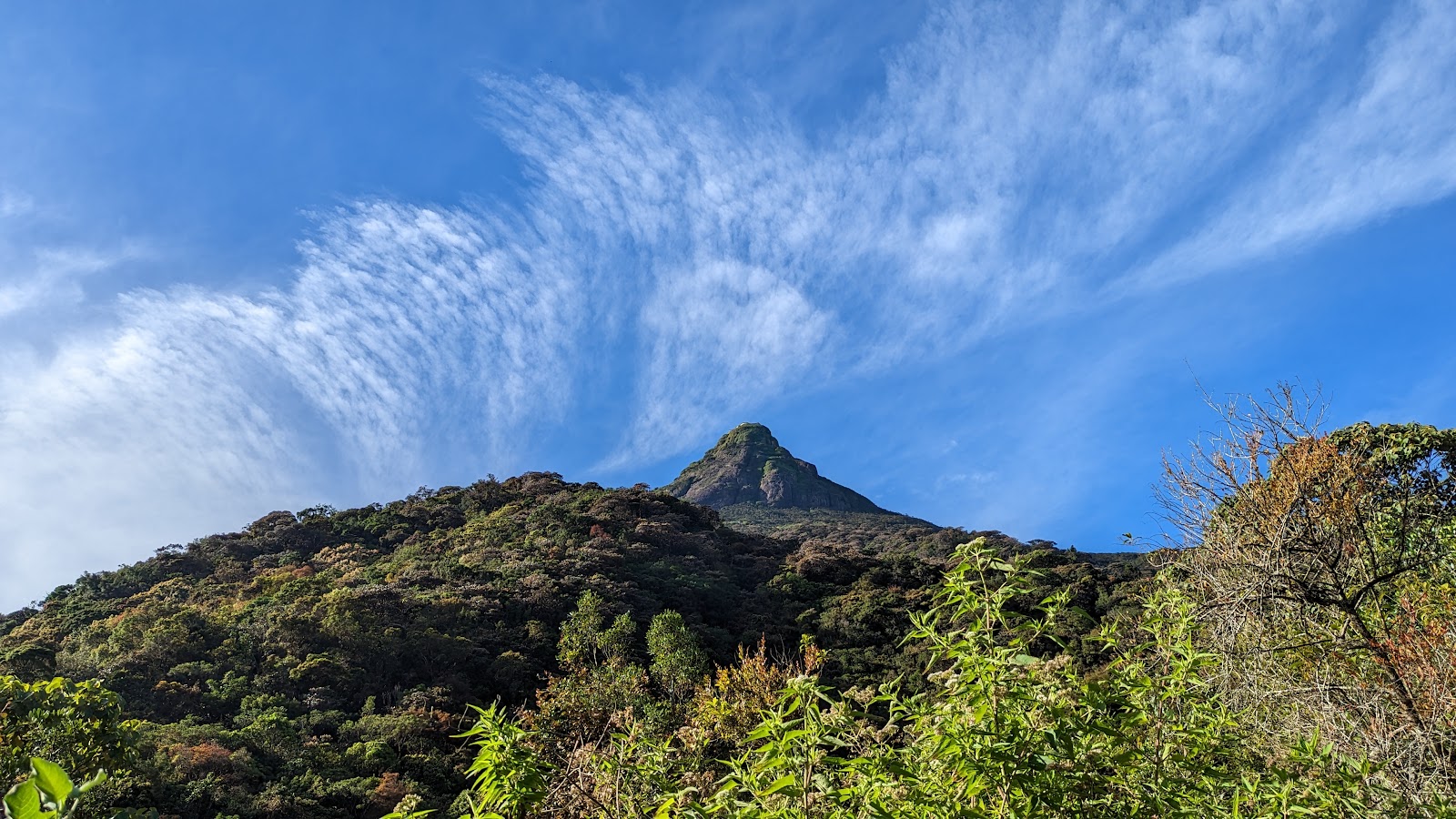 Sri Pada Wilderness Sanctuary | World Heritage Site of UNESCO in Nallathanniya