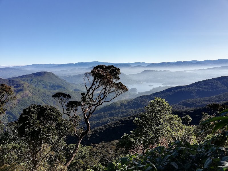 Photo 6 at Sri Pada Wilderness Sanctuary | World Heritage Site of UNESCO in Nallathanniya