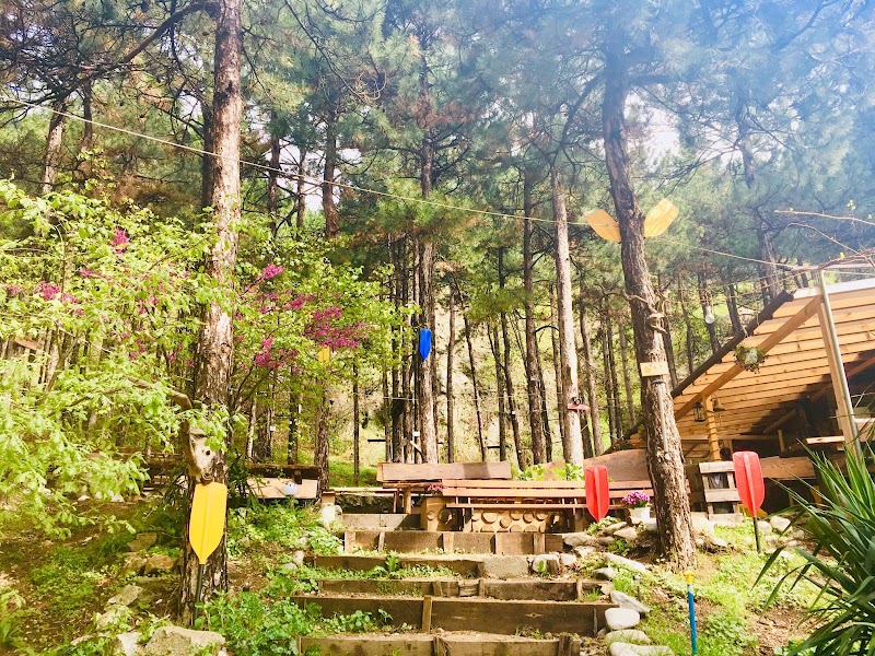 Photo 5 at Adventure Net in Кресна