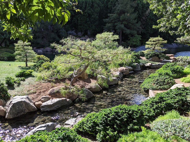 Photo 6 at Japanese Friendship Garden of Phoenix in Phoenix